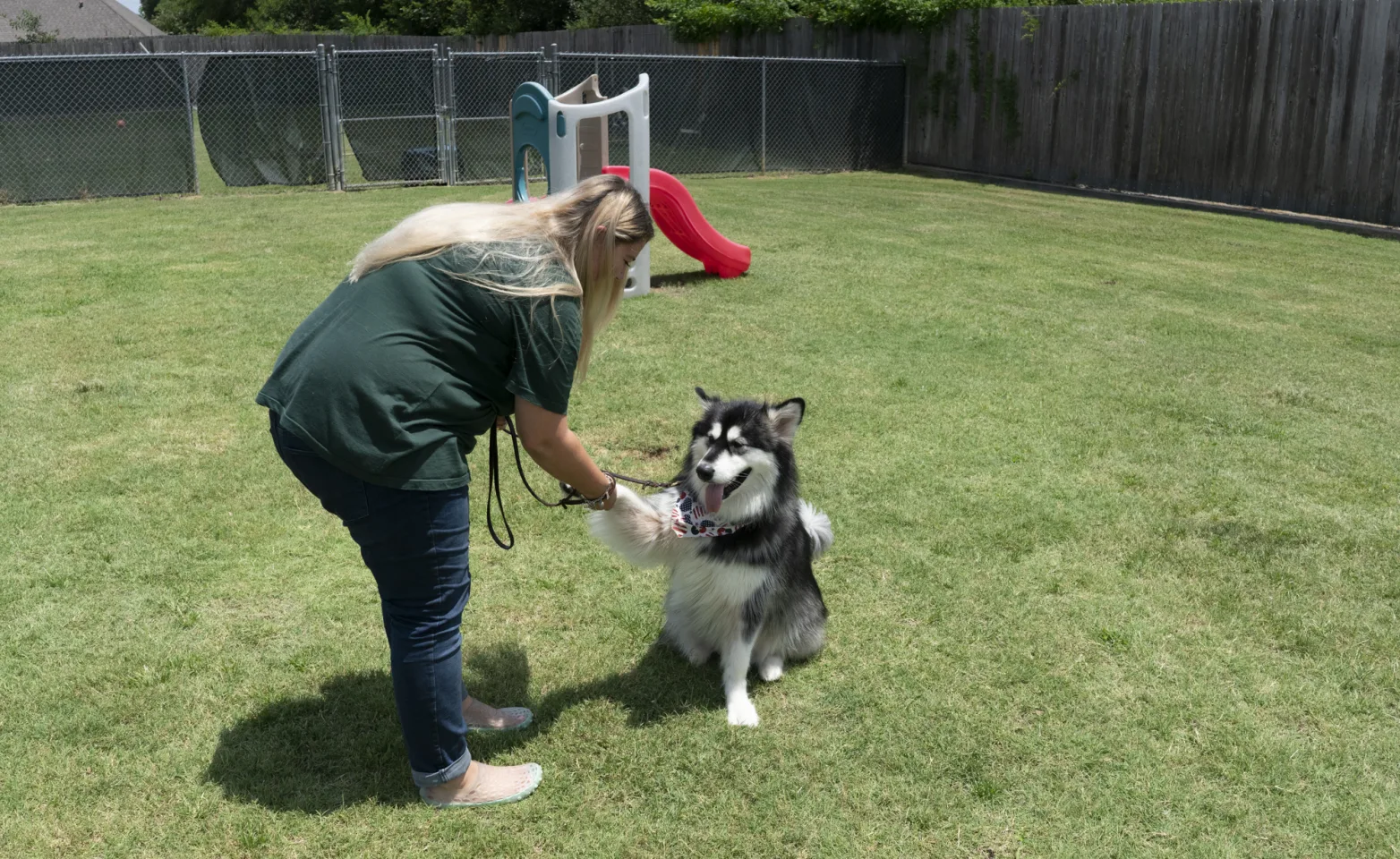 Staff playing with dog at Rover Oaks Pet Resort